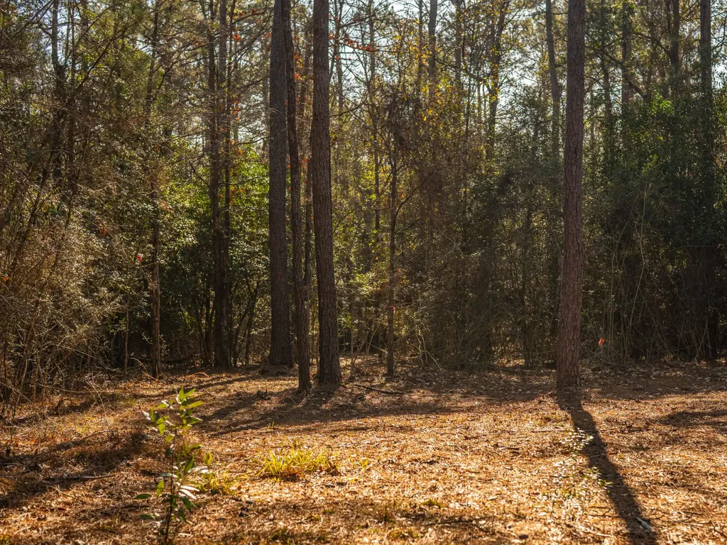 100 Highway 225 Spanish Fort AL 36527