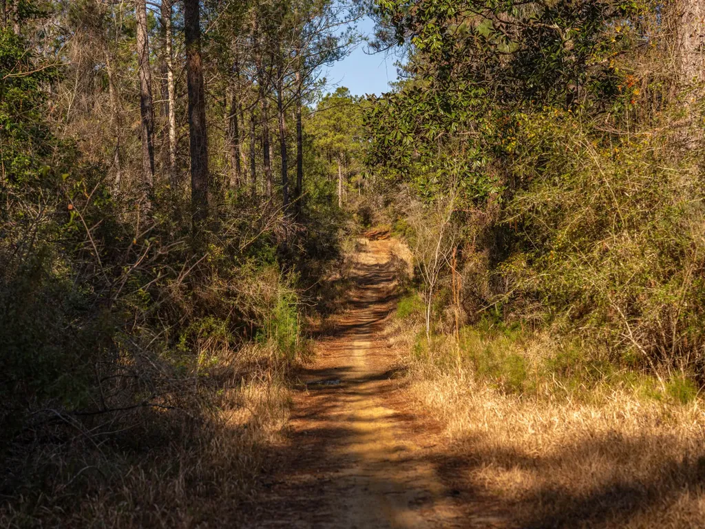 100 Highway 225 Spanish Fort AL 36527