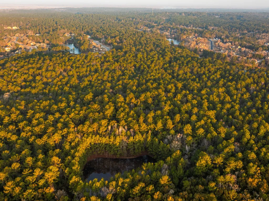 100 Highway 225 Spanish Fort AL 36527