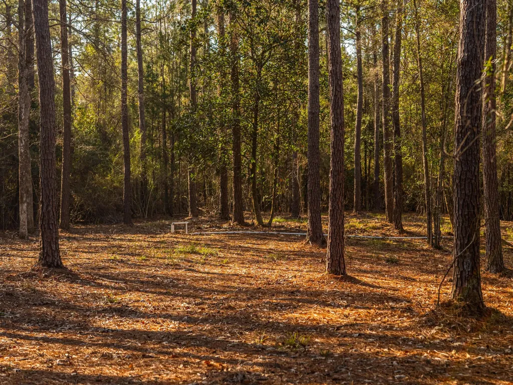 100 Highway 225 Spanish Fort AL 36527