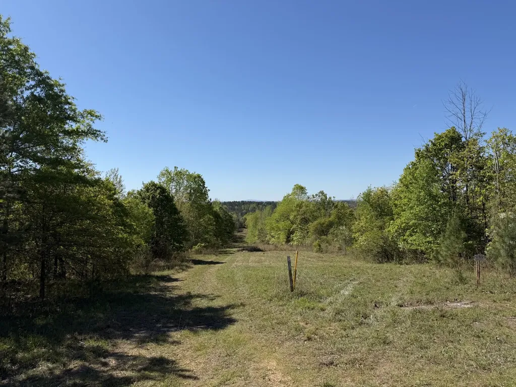 0 Highway 26 Ragland AL 35131