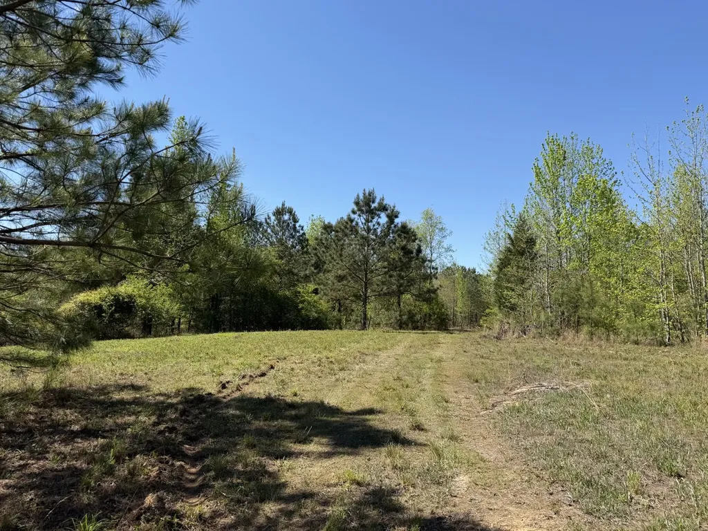 0 Highway 26 Ragland AL 35131