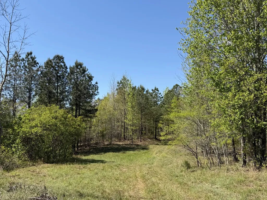 0 Highway 26 Ragland AL 35131