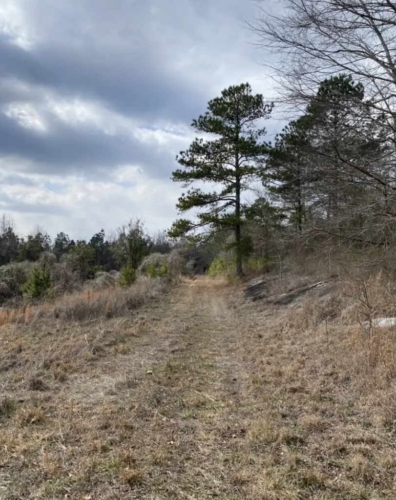 0 Highway 26 Ragland AL 35131
