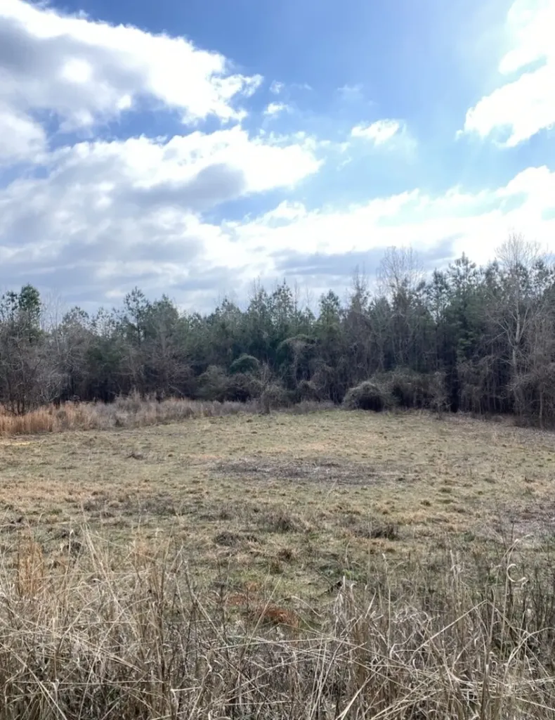 0 Highway 26 Ragland AL 35131