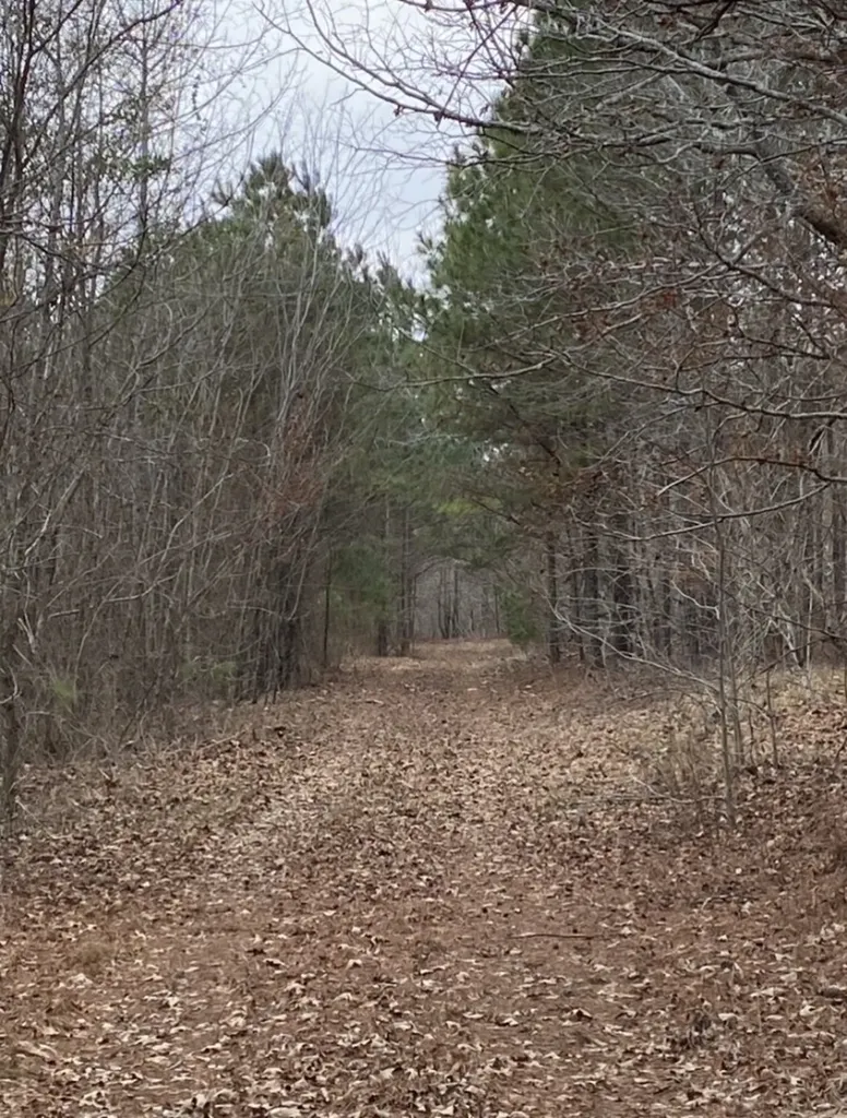 0 Highway 26 Ragland AL 35131