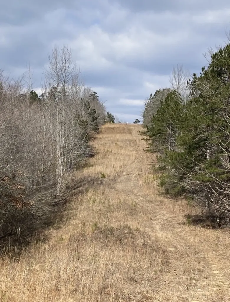 0 Highway 26 Ragland AL 35131