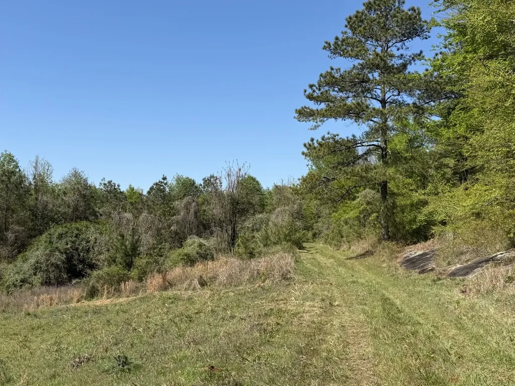 0 Highway 26 Ragland AL 35131