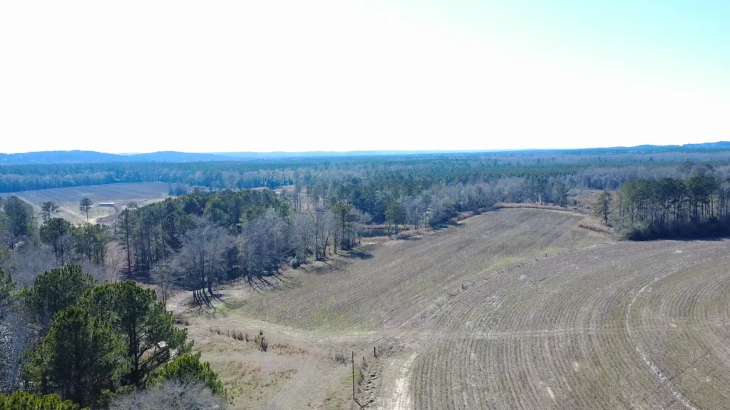 25 County Road 223 New Brockton AL 36351