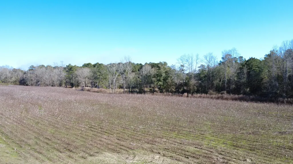 25 County Road 223 New Brockton AL 36351