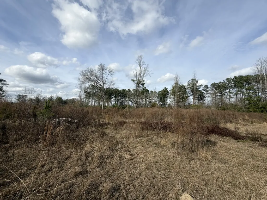25 County Road 223 New Brockton AL 36351