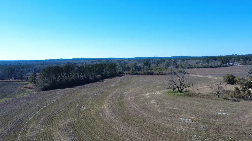 25 County Road 223 New Brockton AL 36351