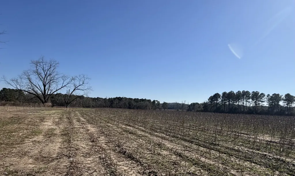 25 County Road 223 New Brockton AL 36351