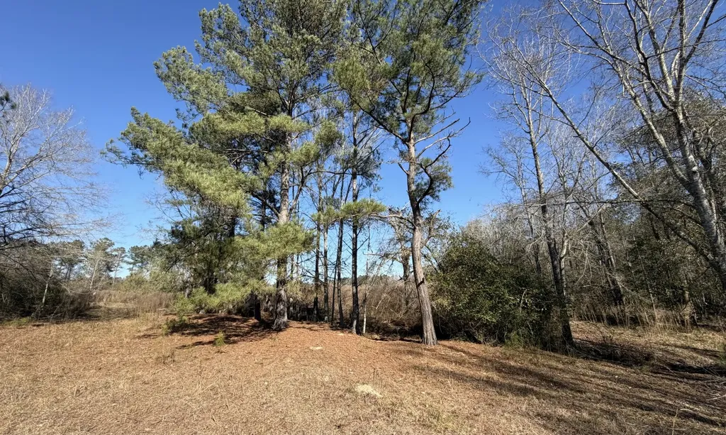 25 County Road 223 New Brockton AL 36351