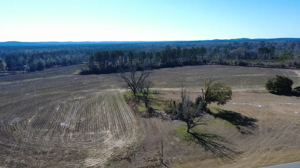 25 County Road 223 New Brockton AL 36351