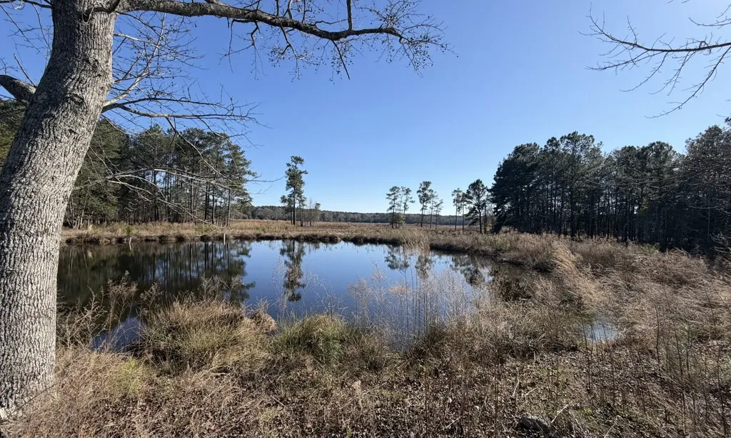 26 County Road 223 New Brockton AL 36351