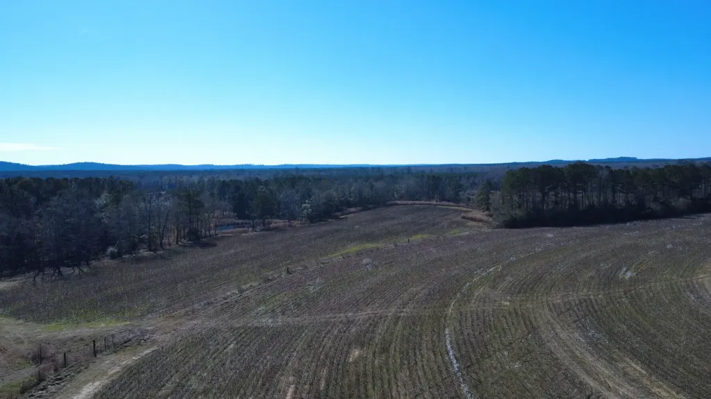 26 County Road 223 New Brockton AL 36351