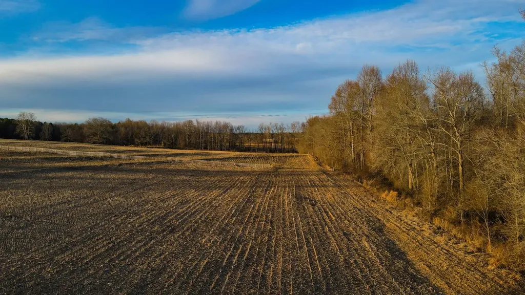 1 Highway 20 Florence AL 35633