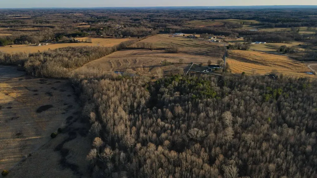 1 Highway 20 Florence AL 35633