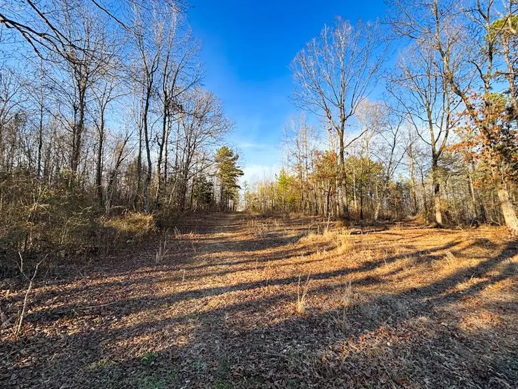 1 Highway 20 Florence AL 35633