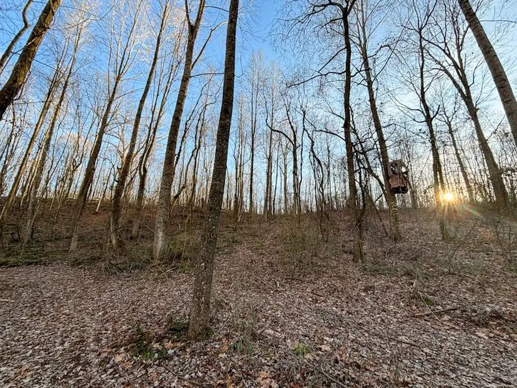 1 Highway 20 Florence AL 35633