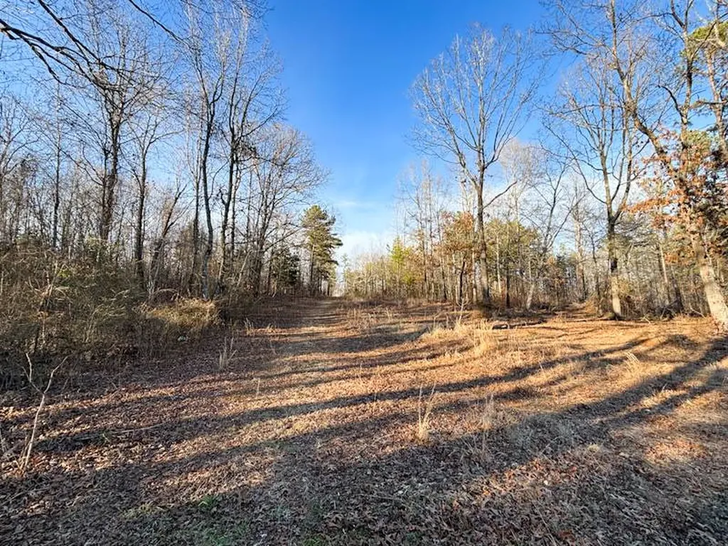 1 Highway 20 Florence AL 35633