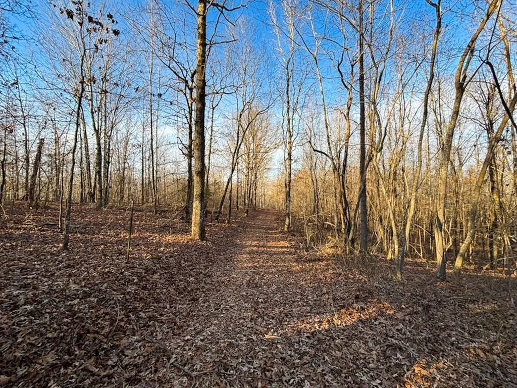 1 Highway 20 Florence AL 35633