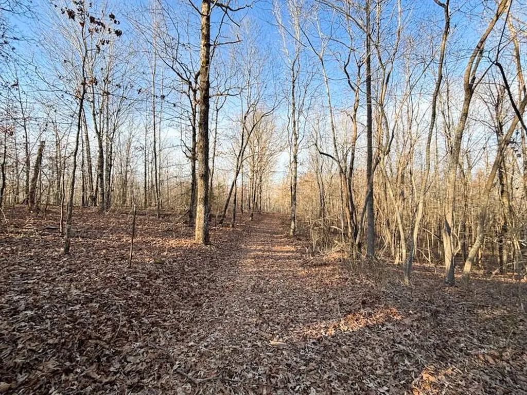 1 Highway 20 Florence AL 35633