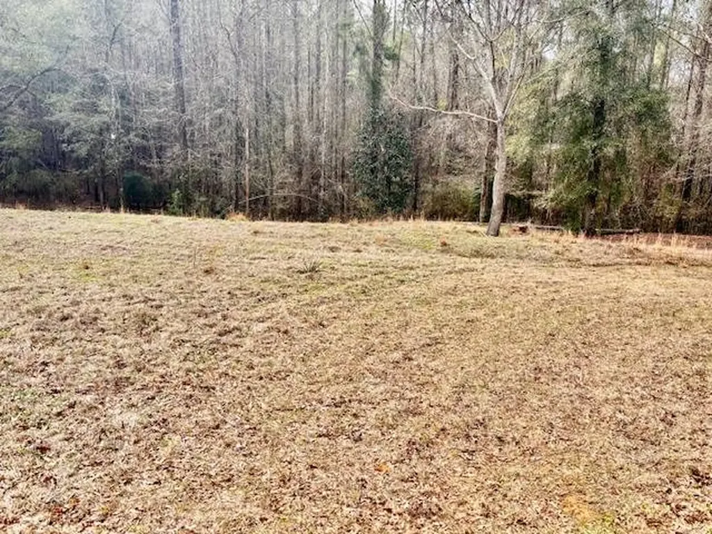 29375 Morgan Road Red Level AL 36474