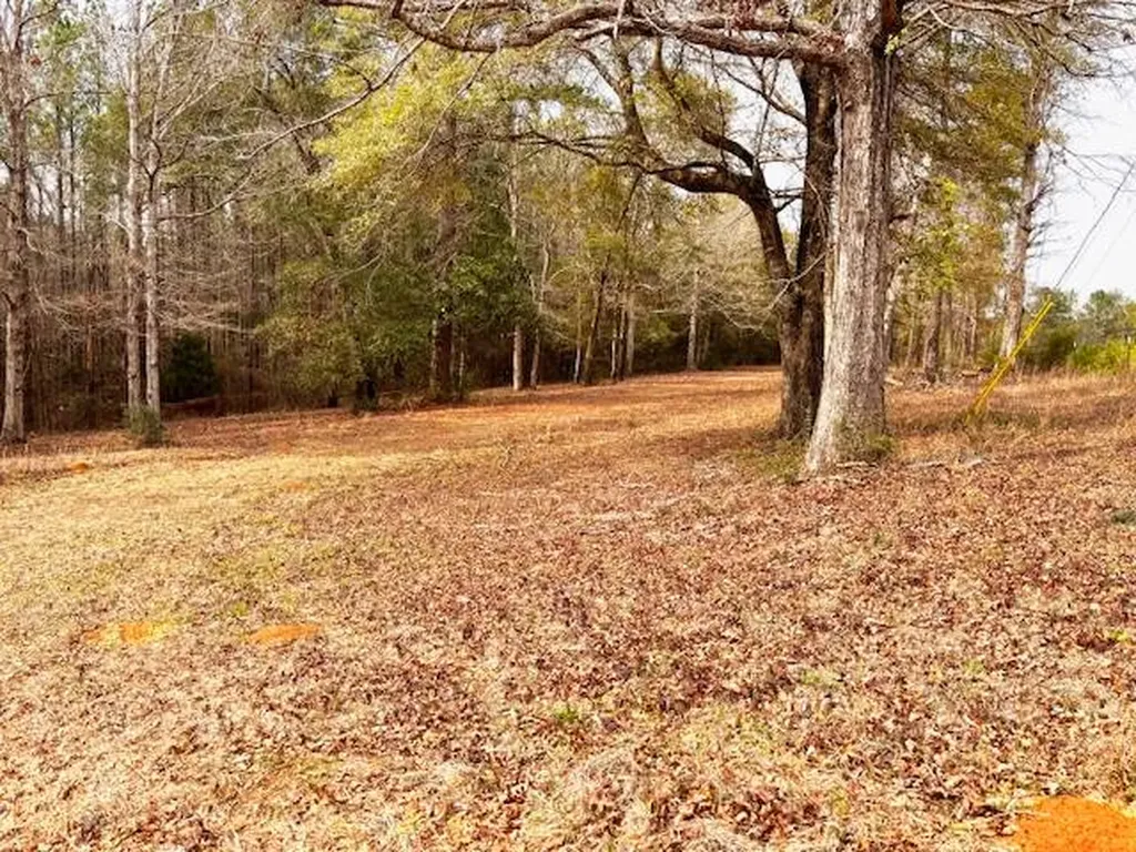 29375 Morgan Road Red Level AL 36474