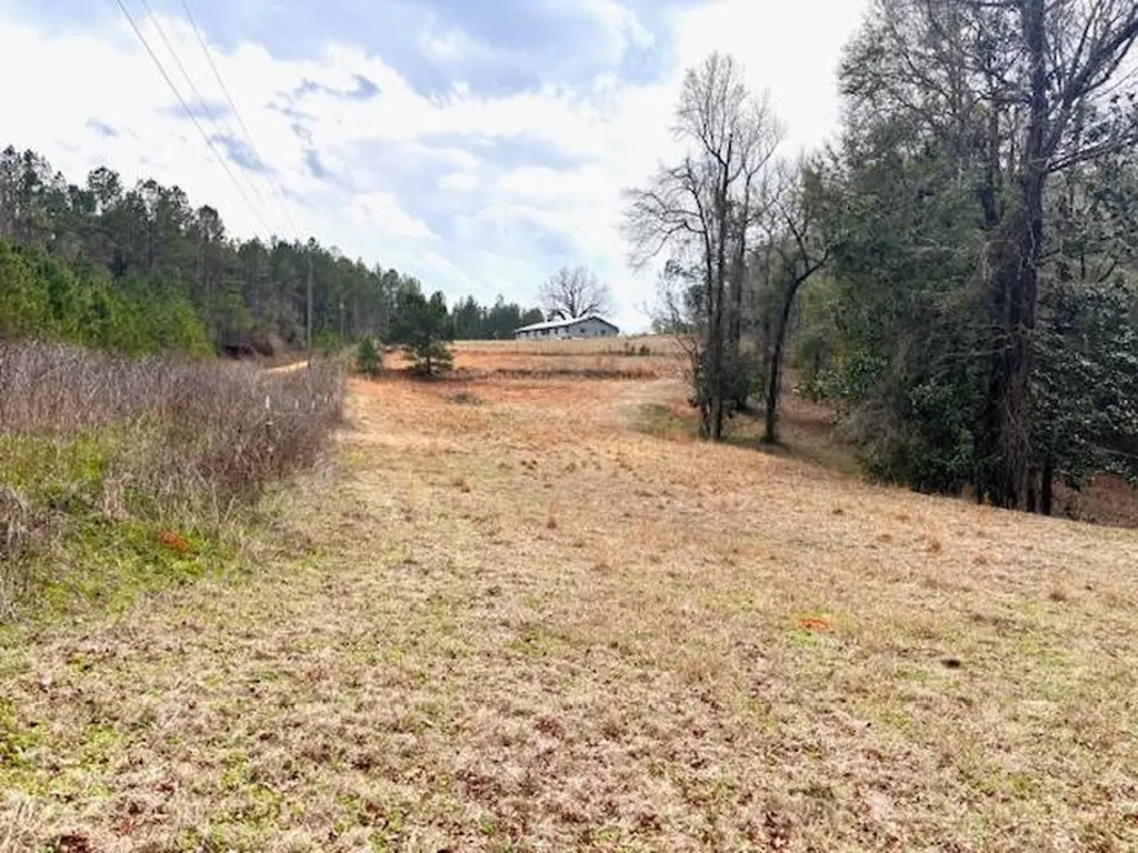 29375 Morgan Road Red Level AL 36474