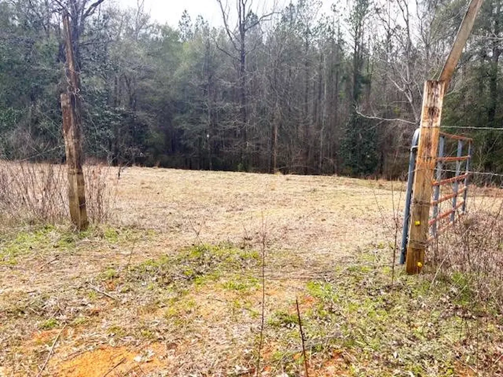 29375 Morgan Road Red Level AL 36474