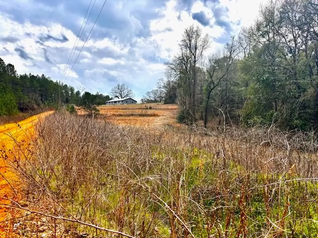 29375 Morgan Road Red Level AL 36474