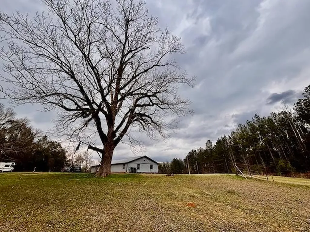 29375 Morgan Road Red Level AL 36474