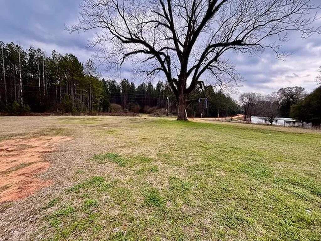 29375 Morgan Road Red Level AL 36474
