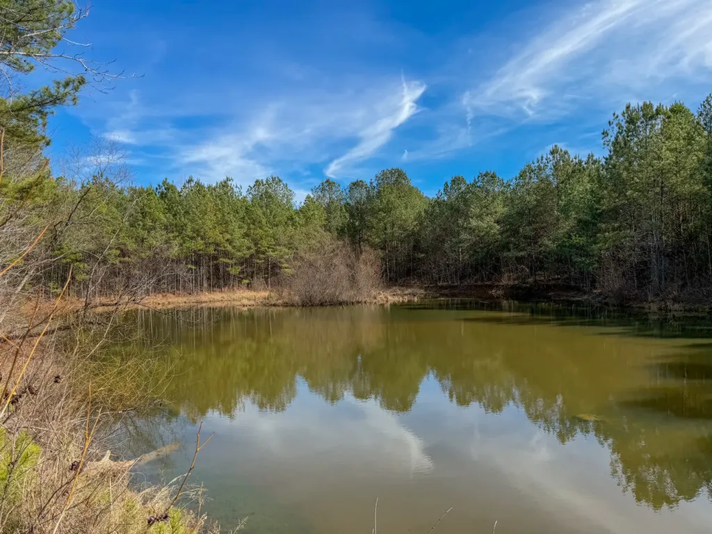 0 Co Road 26 Plantersville AL 36758