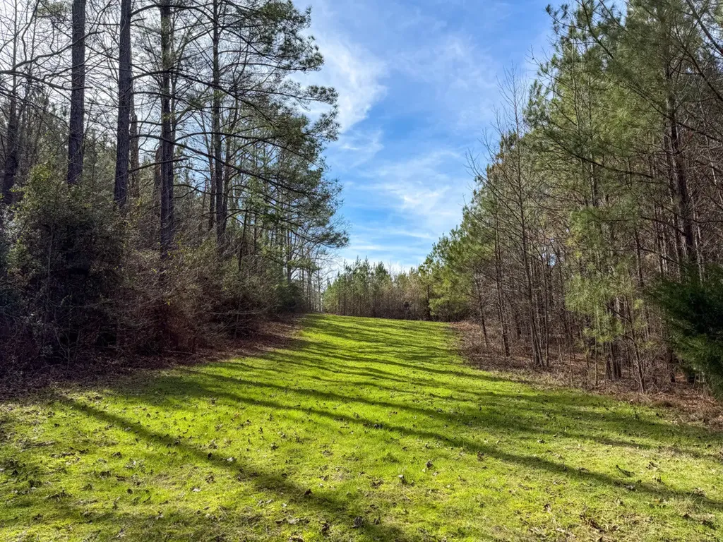 0 Co Road 26 Plantersville AL 36758