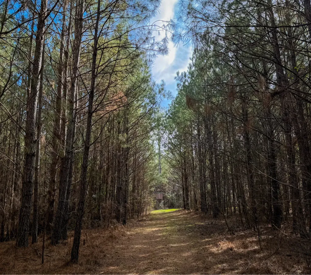 0 Co Road 26 Plantersville AL 36758