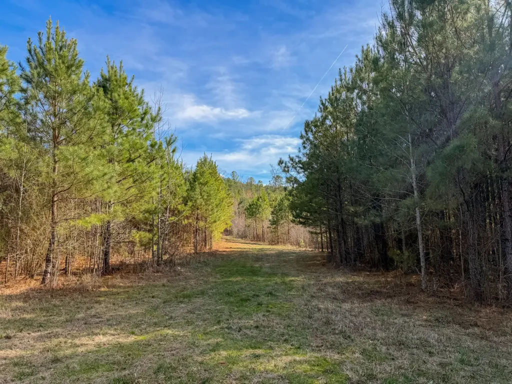 0 Co Road 26 Plantersville AL 36758