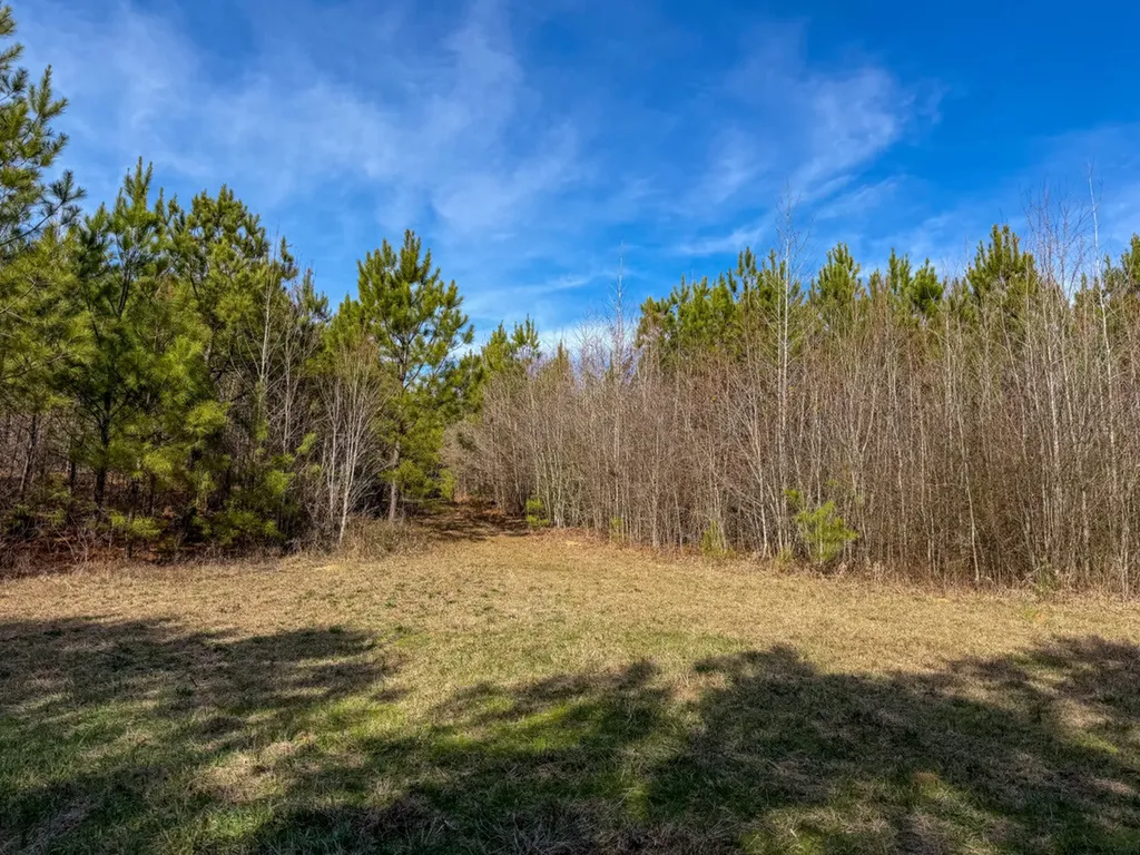 0 Co Road 26 Plantersville AL 36758