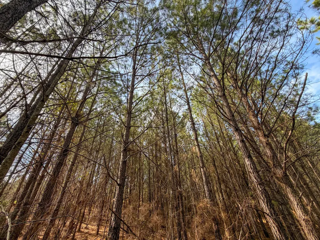 0 Co Road 26 Plantersville AL 36758