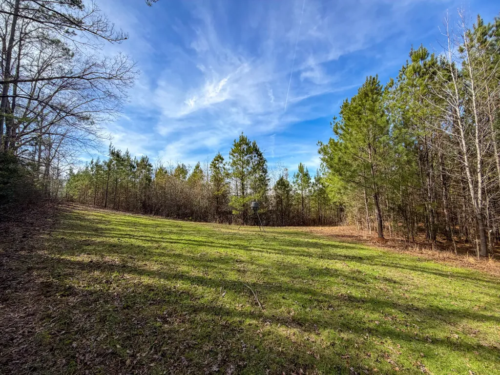 0 Co Road 26 Plantersville AL 36758