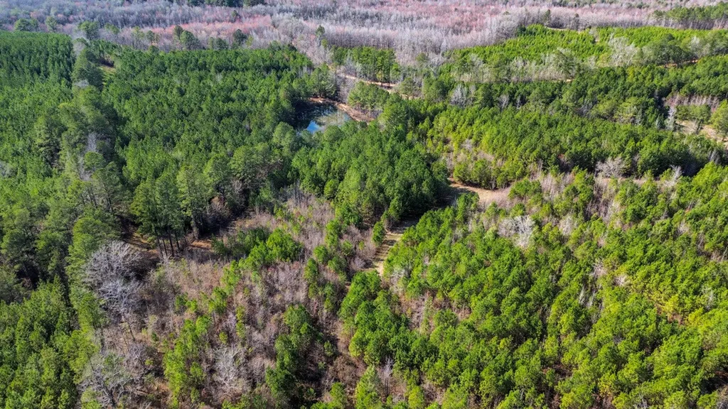 0 Co Road 26 Plantersville AL 36758