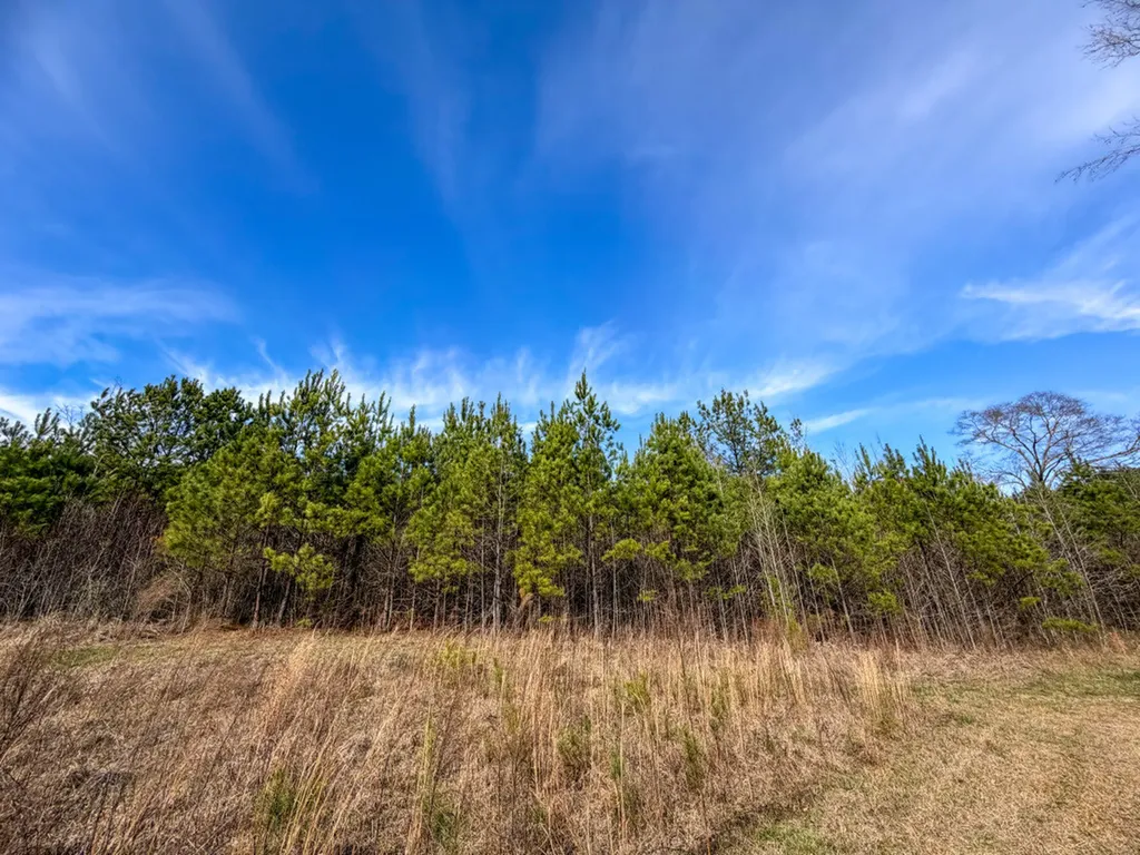 0 Co Road 26 Plantersville AL 36758
