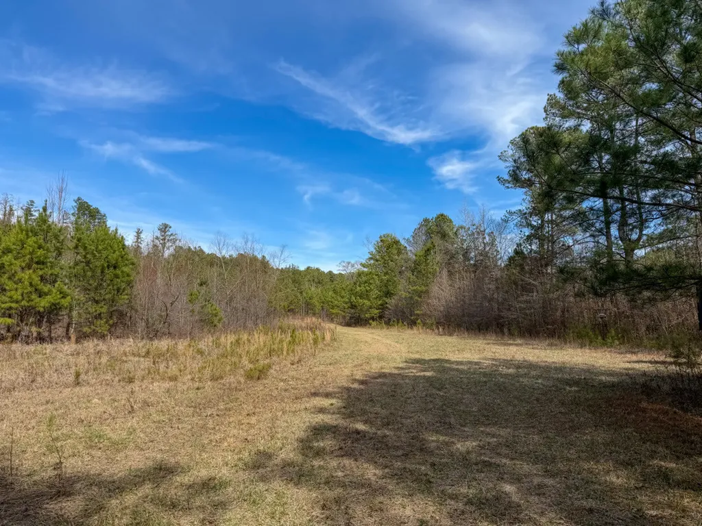0 Co Road 26 Plantersville AL 36758