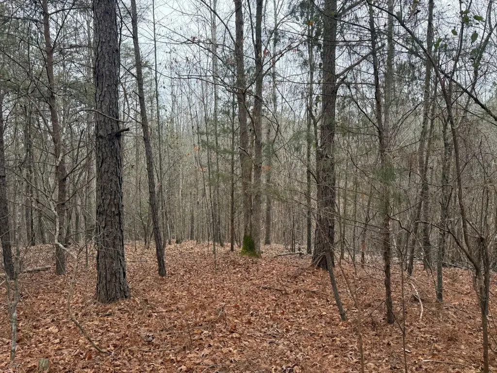 0 Co Road 3022 Double Springs AL 35553