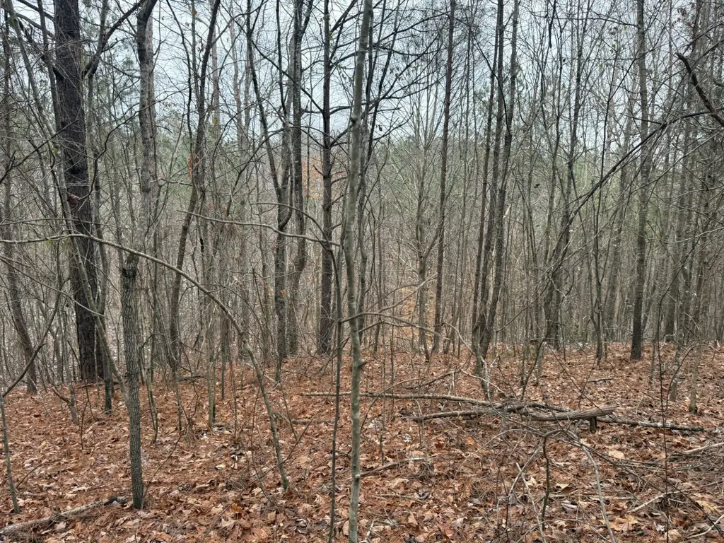 0 Co Road 3022 Double Springs AL 35553