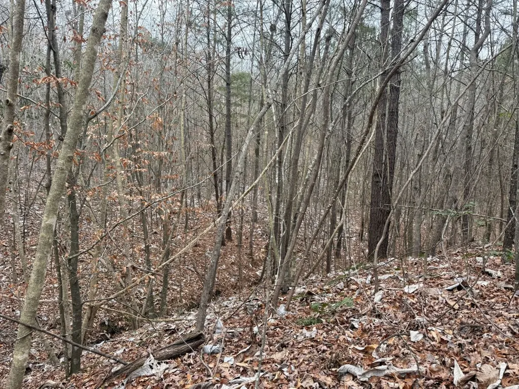 0 Co Road 3022 Double Springs AL 35553