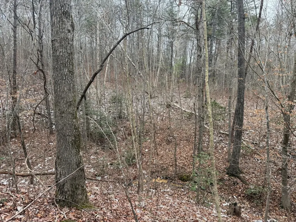 0 Co Road 3022 Double Springs AL 35553