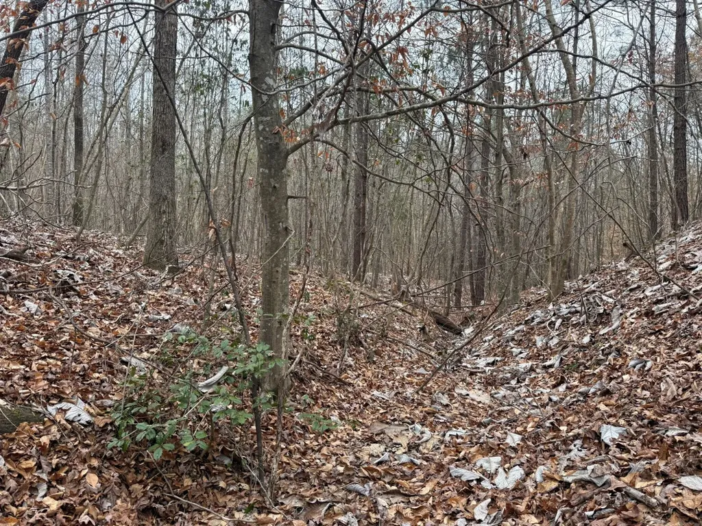 0 Co Road 3022 Double Springs AL 35553